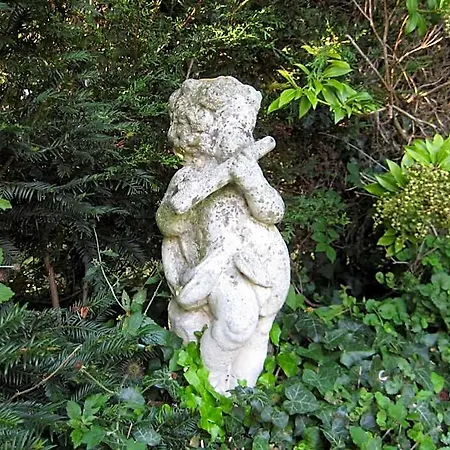 Couette-café Le Clos Boutenelle Eperlecques